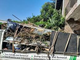 Best Demolition Debris Removal  in Pine Level, NC